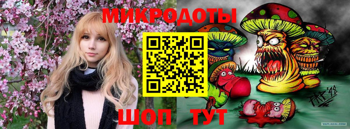 Псилоцибиновые грибы ЛСД  Вход с VPN  Камышин  Галлюциногенные грибы ЛСД 